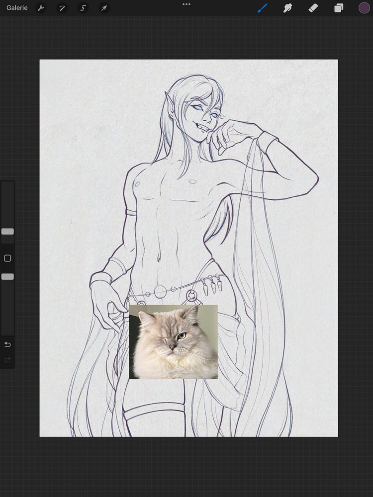 Croquis de Link, légèrement vêtu, dans une pose suggestive. Superposé au croquis, au niveau du bas-ventre du personnage, se trouve une photo de mon chat pour cacher le bigoudi. Le tout est affiché sur l'interface de Procreate. 