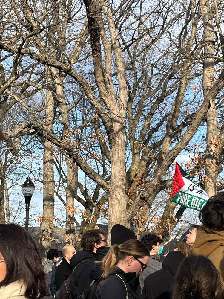 Freedom is a pure idea