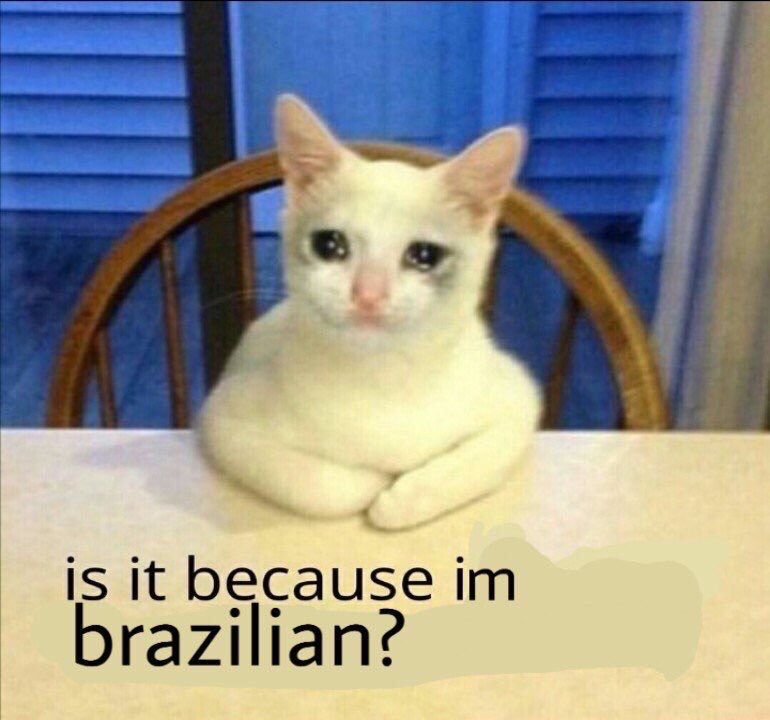 Gato branco sentado em uma cadeira com as patinhas da frente apoiadas na mesa, com um rostinho triste editado no rosto dele, com a legenda “is it because im Brazilian?”