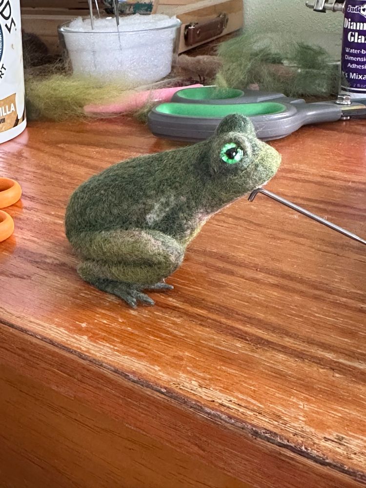 Side view of green frog (probably more of a toad) with bright green eyes, made from needle felted wool. He’s unfinished, still lacking front legs. 