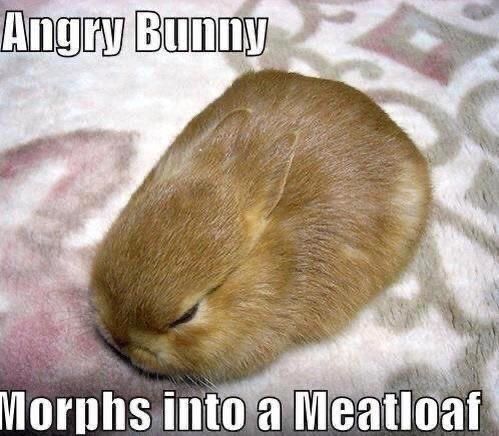 An image captioned “Angry Bunny morphs into a Meatloaf”. Pictured is a bunny that looks a bit like a meatloaf