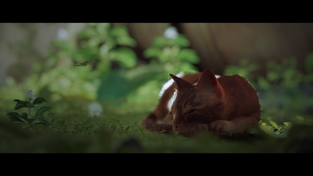 Screenshot from Stray (game developed by BlueTwelve Studio)