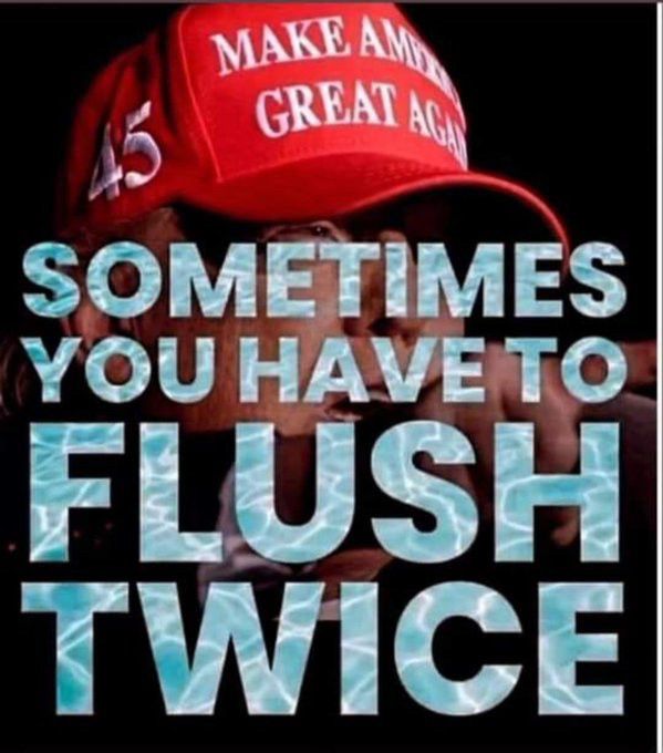 Sometimes you have to flush twice. Text overlays image of DTJ in MAGA hat.