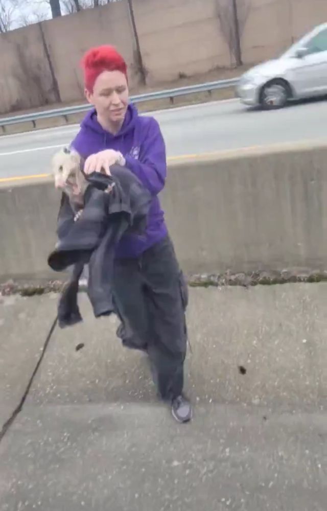 A blurry photo of Sara in motion. They are running towards the camera, in a highway median. They wear a purple hoodie and baggy black pants, and have a death grip on a visibly angry opossum wrapped in a dark jacket.