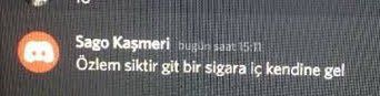 Bir Discord mesajı. Mesajı yazan "Sago Kaşmeri" isimli kişi, mesajında "Özlem siktir git bir sigara iç kendine gel" yazıyor. 