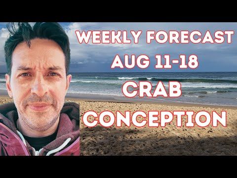 Weekly Astrology Forecast Aug 11-18 "Conception Wish"