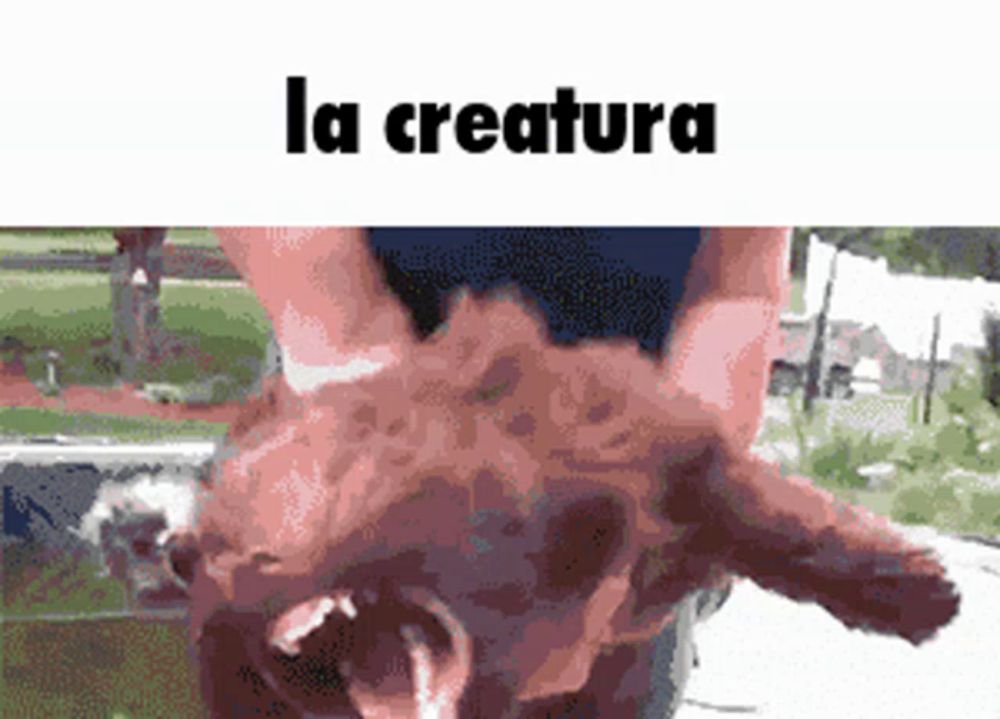 a pixelated image of a person holding a pig with the word la creature written below it