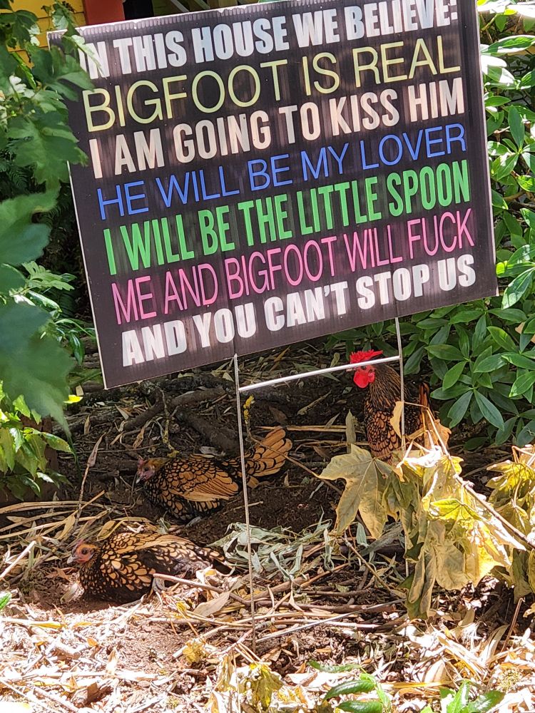 In THIS HOUSE WE BELIEVE 
BIGFOOT IS REAL
I AM GOING TO KISS HIM
HE WILL BE MY LOVER 
I WILL BE THE LITTLE SPOON
ME AND BIGFOOT WILL FUCK
AND YOU CANT STOP US