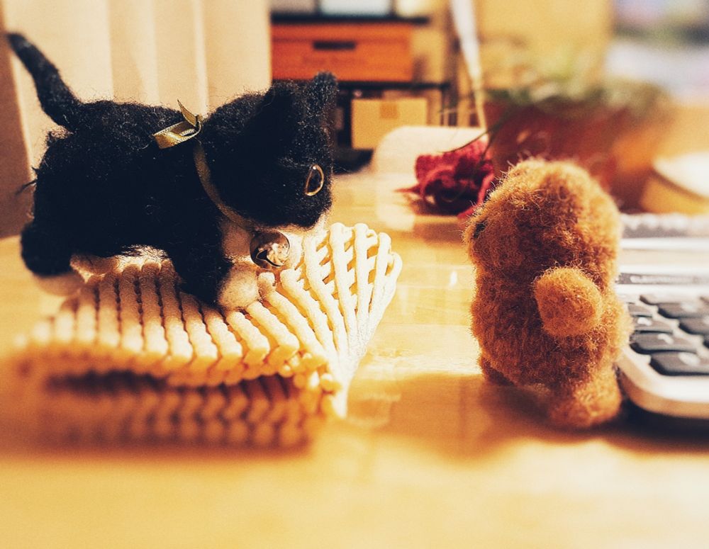 （プチくまとの遭遇）