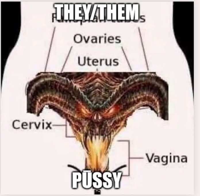 a meme showing a diagram of female reproductive system but with a cool demon skull pasted over top (as it fits over the vagina, cervix uterus and ovaries pretty well) with the caption "THEY/THEM PUSSY"