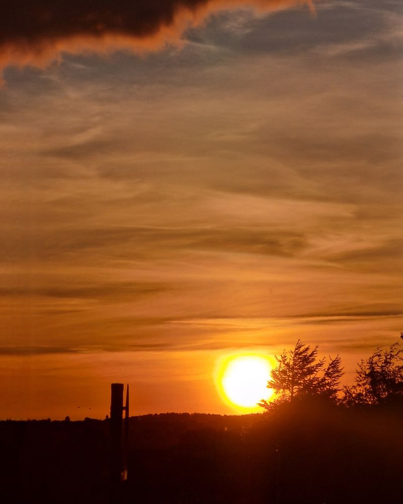 Sunsetting large on the horizon, silhouetting a tree, also going down behind a treeline, only really visible when zoomed in. Blankets of thin layered clouds glow a dark ornagey colour, while a thick dark cloud enters the top of the frame, glowing orange around it's edge