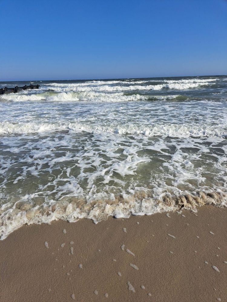A photo of rough, foamy ocean waves lapping the shore. The sky is clear and blue.