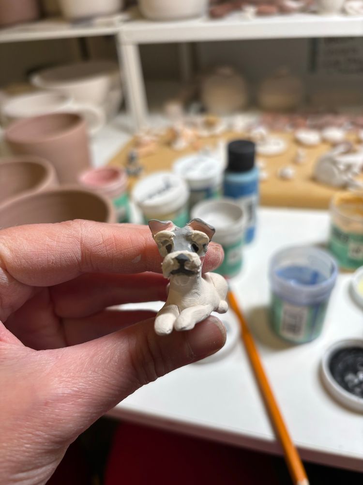 Miniature schnauzer 