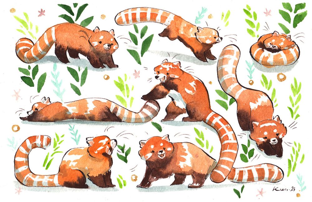 8 red pandas painting 