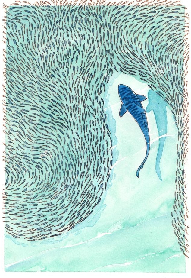 Watercolor painting of a tiger shark hunting 