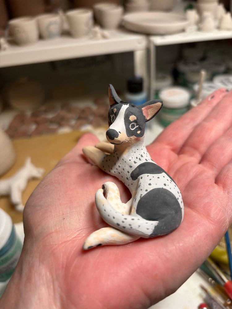Blue heeler 