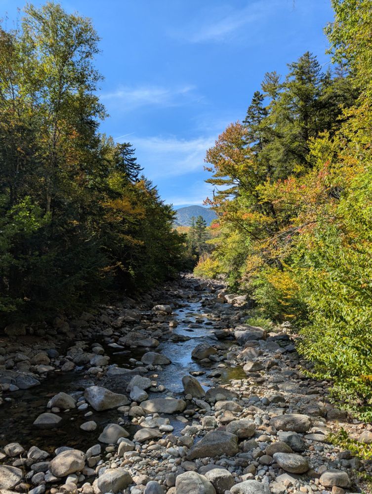 Franconia Brook @ Lincoln Woods Trail, White Mountains National Forest