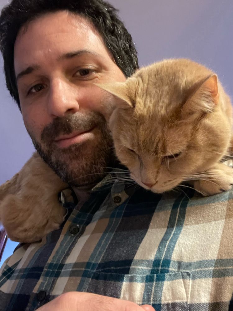 Orange cat Trogdor, on my shoulders like the perfect boy he is.