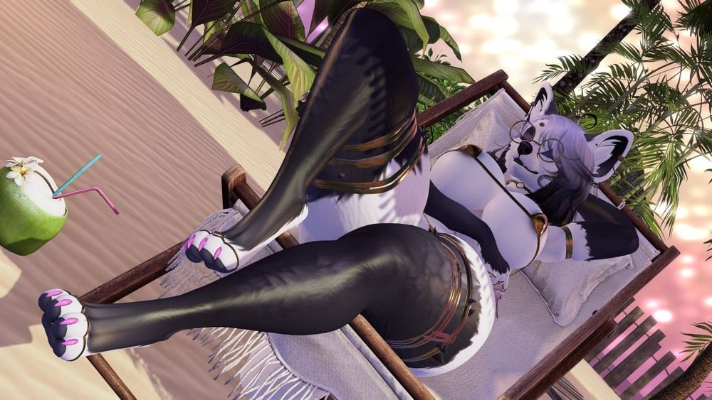 A photo from below showing Niku resting on a beach chair at Tabby Noir