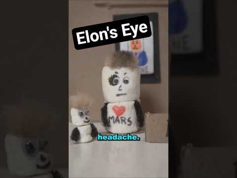 Elon got punched. #voiceactor #impression #comedy #satire
