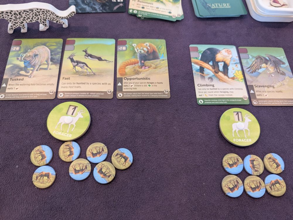 The board game Nature. There are 2 species (represented by dials), with 3 trait cards above the first and 2 trait cards above the second. The first has 7 population tokens below it, and the second 6 population tokens.