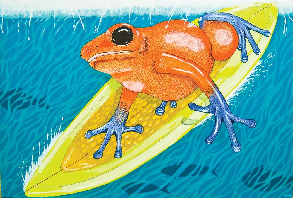 frog art