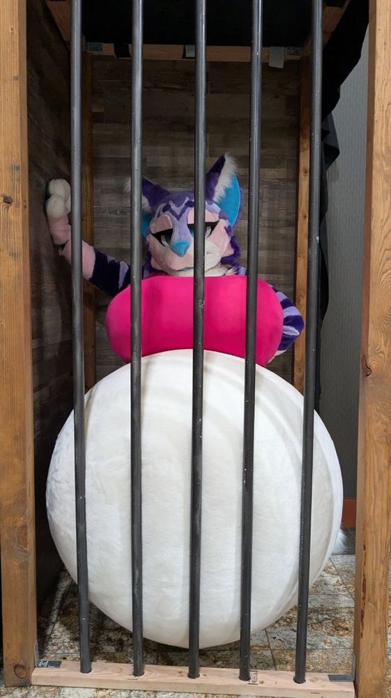 Big belly cat fursuit with belly pressed against the bars of a cell