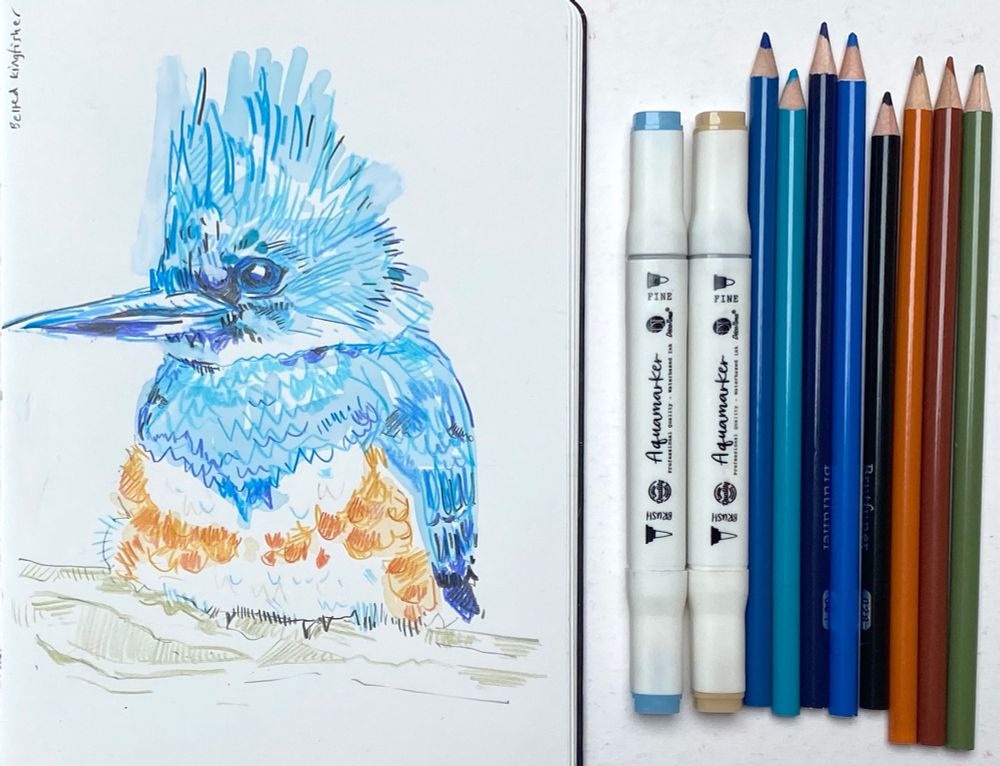 A sketchbook drawing of a blue kingfisher, with mottled terracotta on white chest feathers. It has a pronounced 'mohican-like' set of head feathers. Water based marker pens were used to lay down light blue areas before pencil was added over the top. Media shown next to sketchbook.