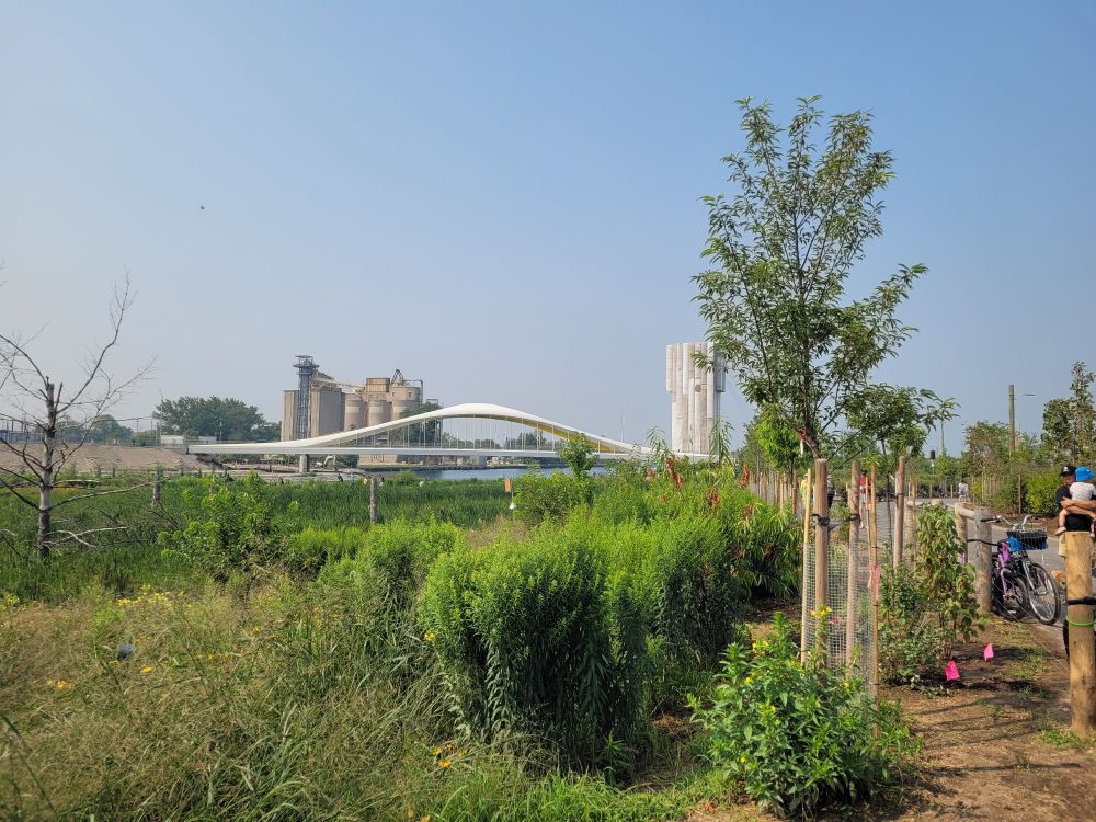 The revitalized mouth of the Don River with a Cherry St bridge in the background