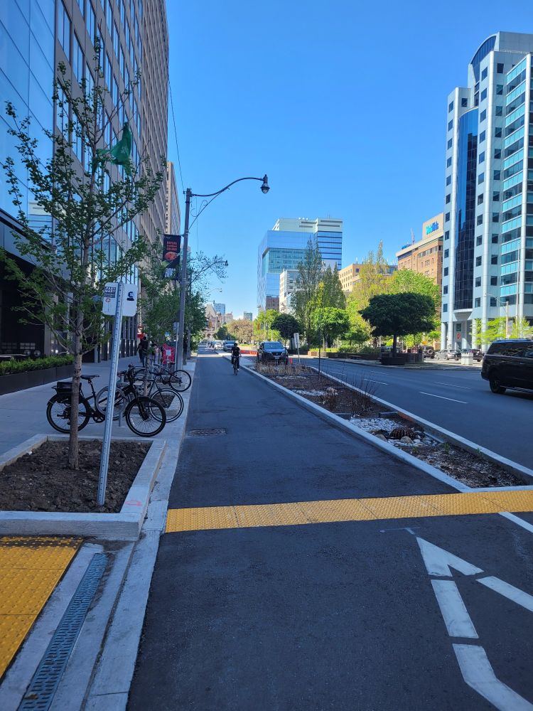 The University Ave bike lane, it is so beautiful and smooth and very wide
