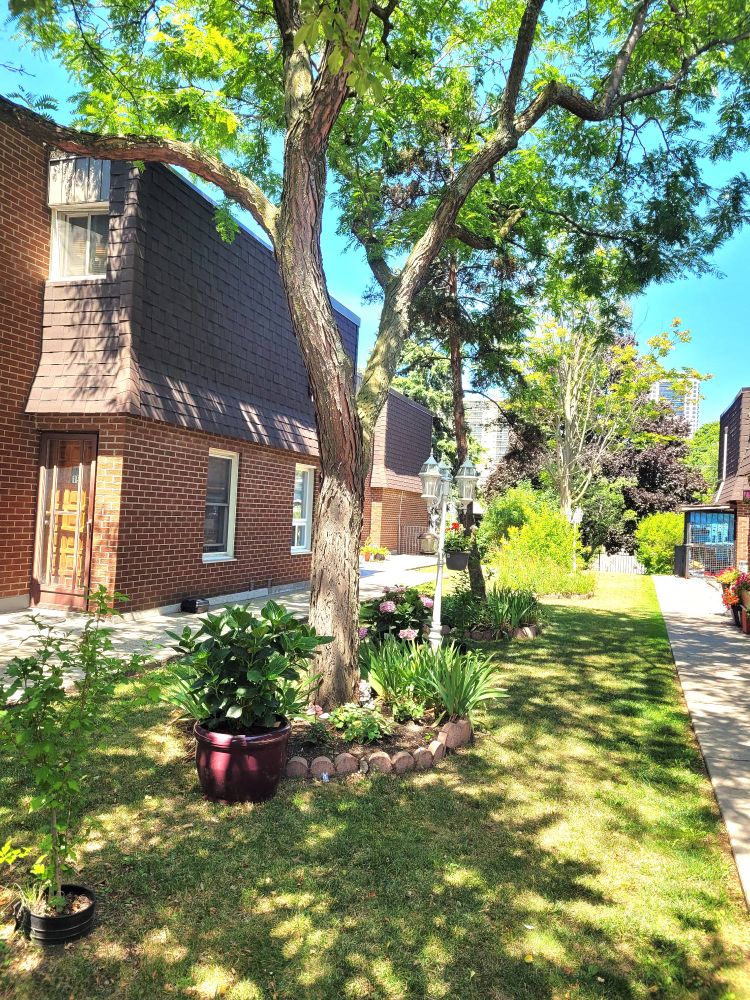 A shady townhouse courtyard in Toronto, ON