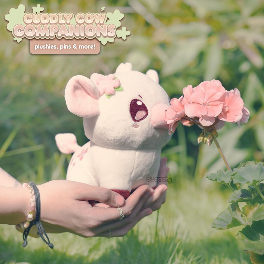 Photo of a white and pastel pink cow. She has a darker pink flower sitting on the side of her head, and she finds herself amidst greenery and foliage during the golden hours of the day, gently held by someone as she sniffs an equally pink flower.