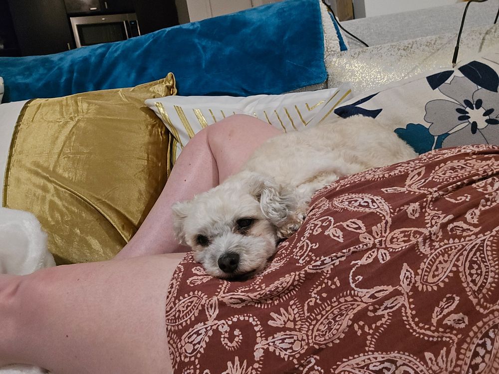 Cropped photo of a white woman laying on her back on a couch. She has one knee propped up, and a small white dog is sleeping soundly on the woman's stomach. 