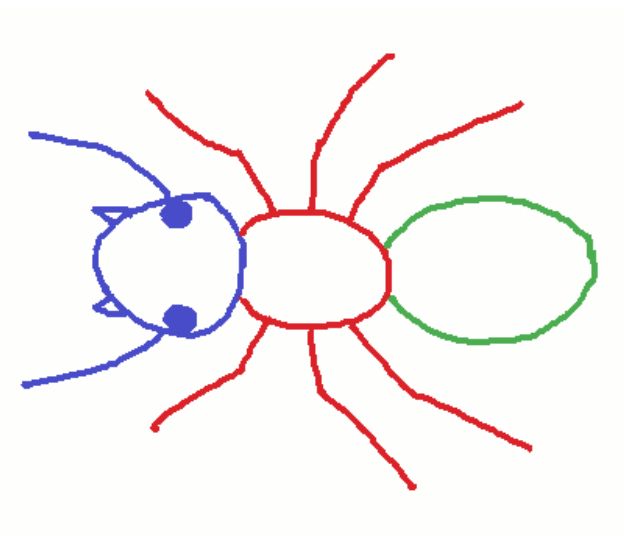 pixelated digital drawing of a generic insect. head is blue. thorax and legs are red. abdomen is green. credit me