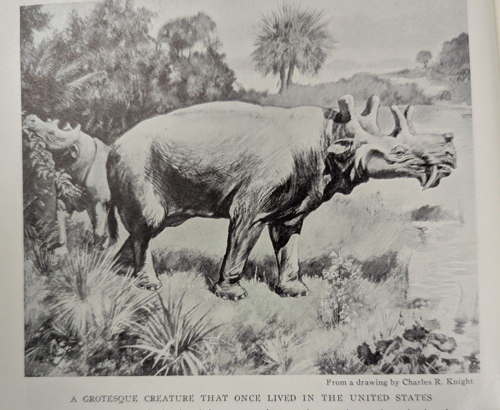 illustration of a brontothere(?). caption reads "a grotesque creature that once lived in the united states."
