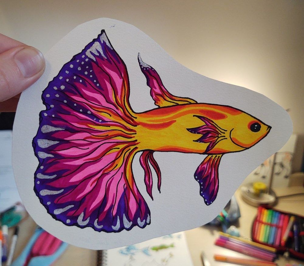 In front of a desktop filled with colorful pens and pencils, the cutout of a big fish is being held up. The fish drawing equals a Betta splendens, with a giant tail. It's coloured on purple, pink, rose, yellow, red and orange.