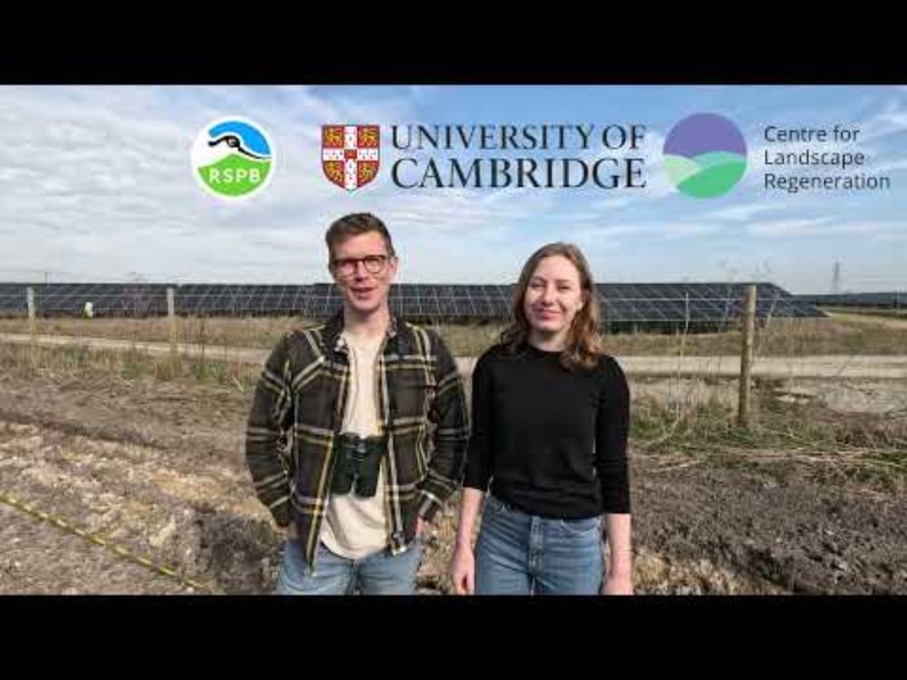 British Birds Thrive on Solar Farms! | RSPB & Cambridge Uni Research