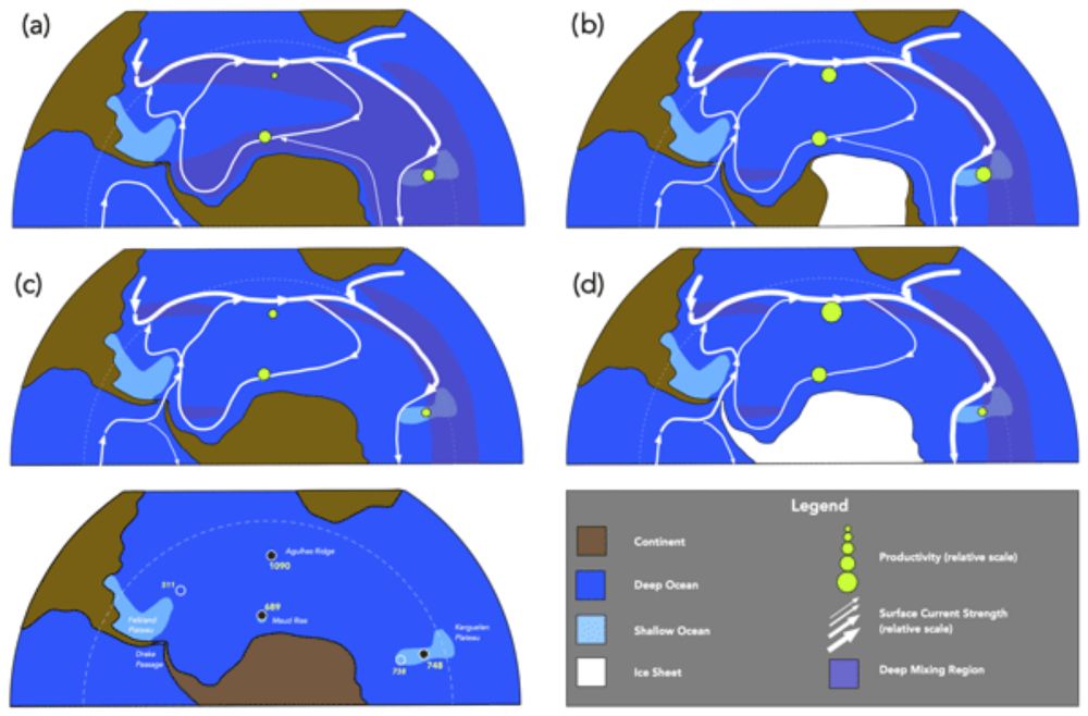 Late Eocene to early Oligocene productivity events in the proto-Southern Ocean and correlation to climate change