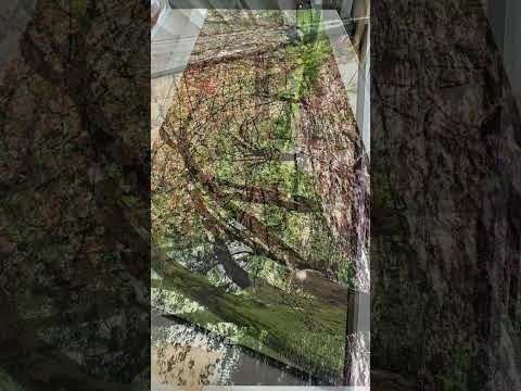 96" Spring Blossoms Landscape - Andrew Prokos Fine Art Photography