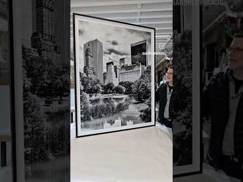 Central Park + Plaza Hotel - 5x4 Foot Fine Art Photo by Andrew Prokos