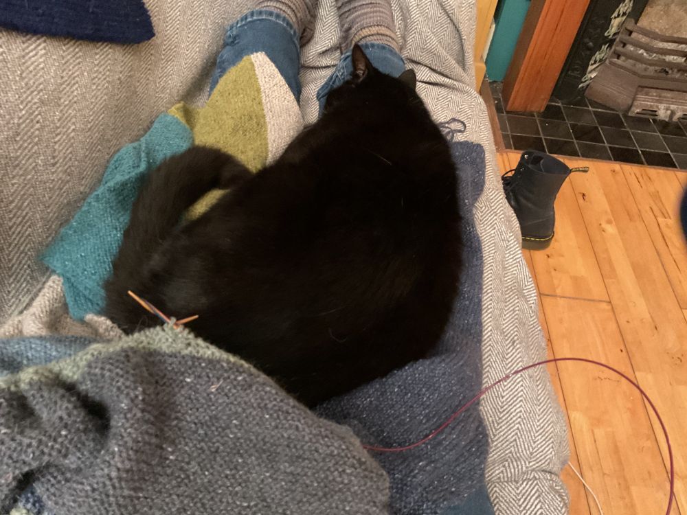 Same cat now curled up sleeping on the knitting