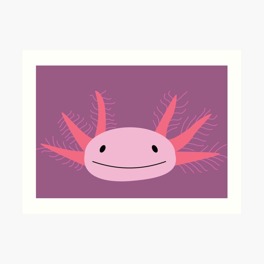 An Axolotl (Ambystoma mexicanum) from The Minimal Animal Project. 