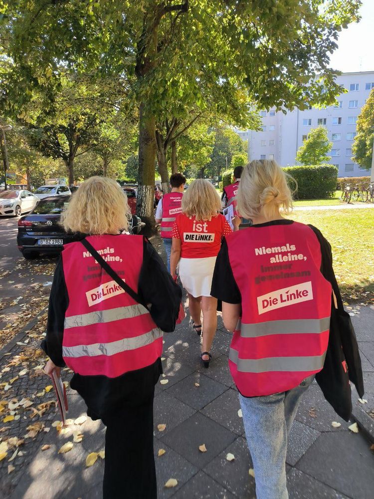 Rückansicht der Genoss*innen beim Laufen auf einem Gehweg. Schriftzug auf den roten Kennzeichnungswesten: "Niemals alleine, immer gemeinsam. - Die Linke"