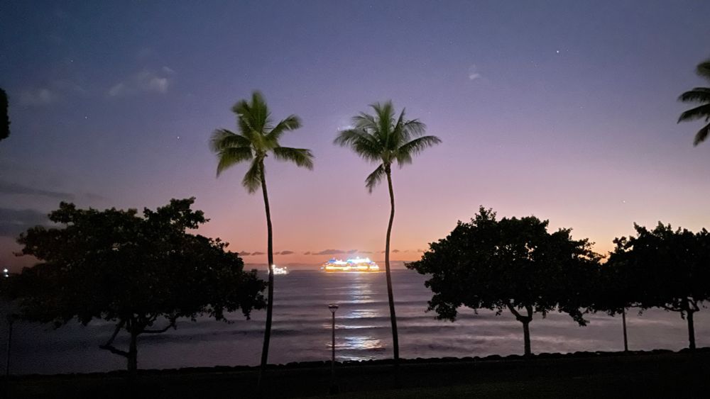 Late sunset with a cruise ship passing between two palm trees