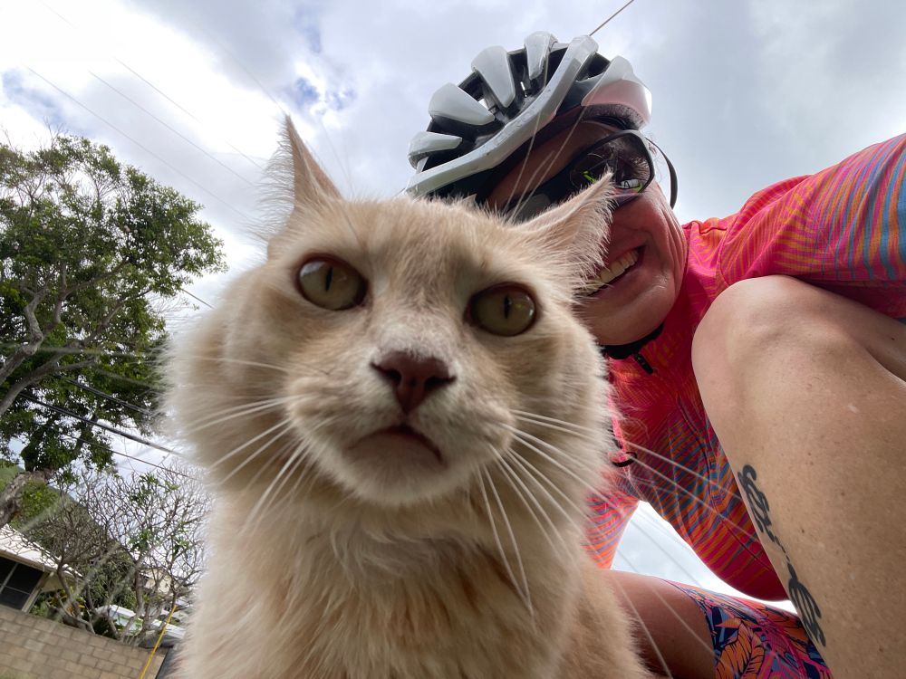 Buff colored cat face with cyclist leaning down next to it
