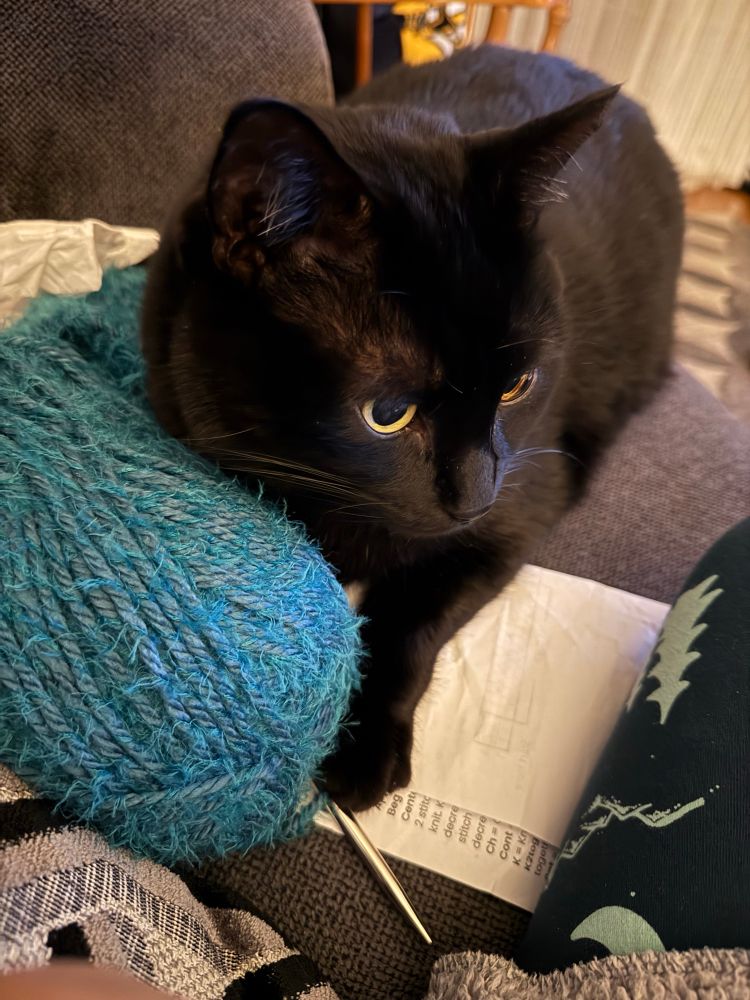 A black cat snuggles against a teal ball of yarn on the couch. His paw rests on a knitting needle with a paper knitting pattern underneath it.