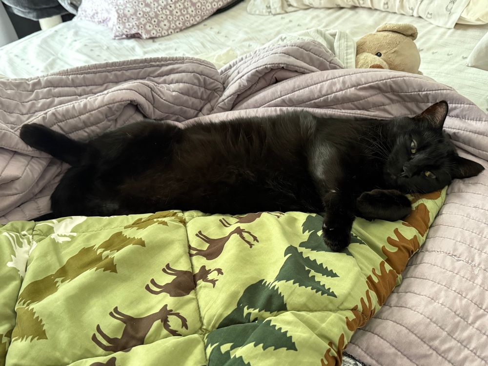 A sleepy black cat is stretched out on his side on a bed. Behind him lays a brown teddy bear mostly under the covers, also on its side. They could be spooning.