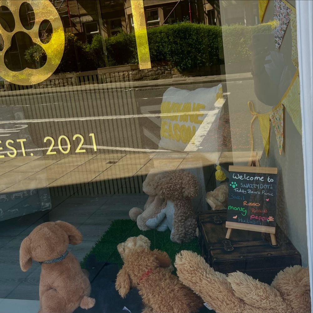 A window display featuring a collection of cuddly dog toys in brown and a slate with the message “welcome to Snazzydor’s Teddy Bears’ Picnic” and the names of the toys. In the background is yellow bunting and a cushion. The street is partly reflected in the window, which is also adorned with a paw print stencil and “est.2021.”