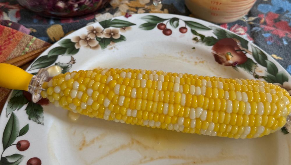 Bicolor sweet corn on a white plate with berries and flowers around the edge. 