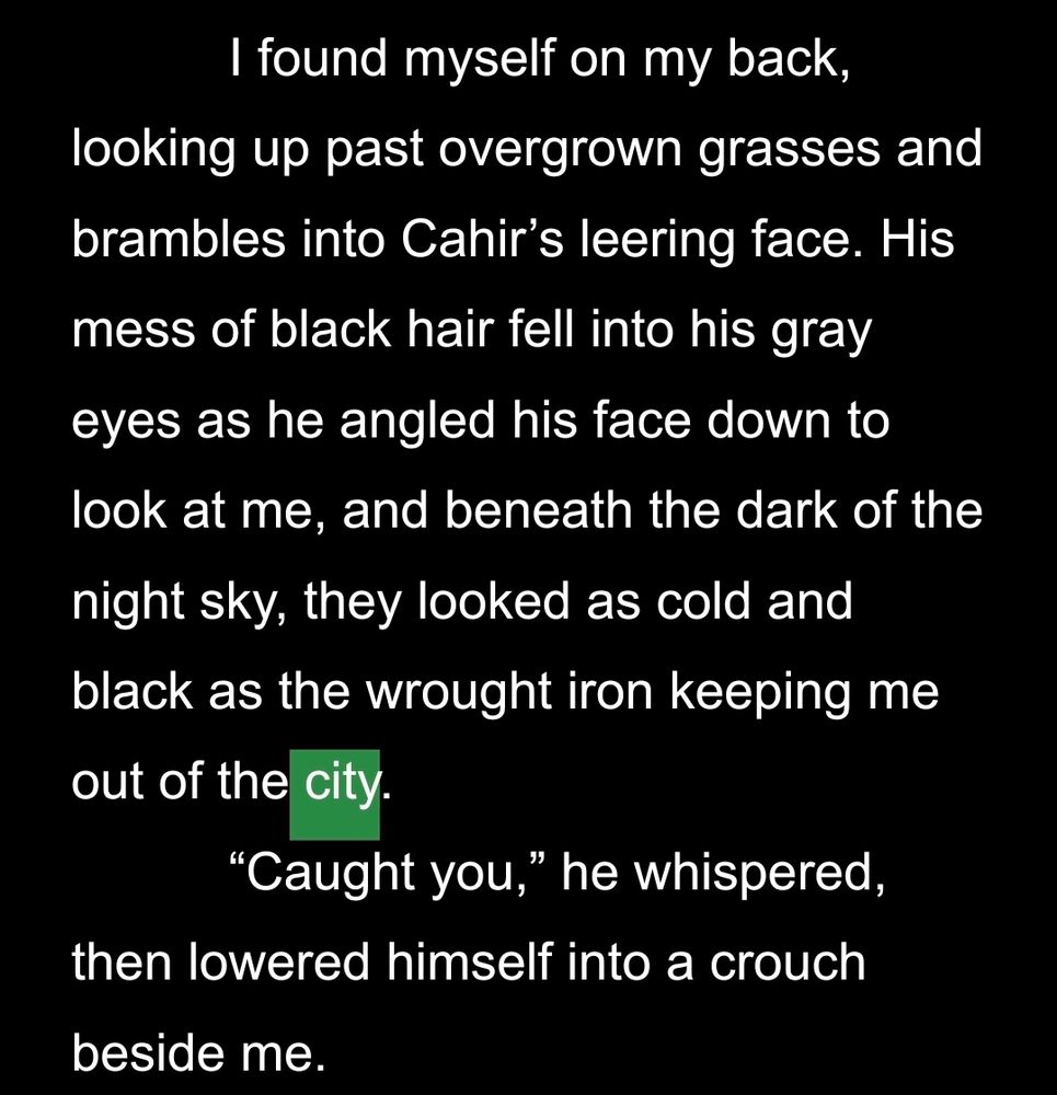 I found myself on my back, looking up past overgrown grasses and brambles into Cahir’s leering face. His mess of black hair fell into his gray eyes as he angled his face down to look at me, and beneath the dark of the night sky, they looked as cold and black as the wrought iron keeping me out of the city. 
“Caught you,” he whispered, then lowered himself into a crouch beside me.